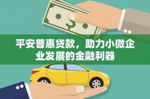 南涧平安普惠贷款，助力小微企业发展的金融利器