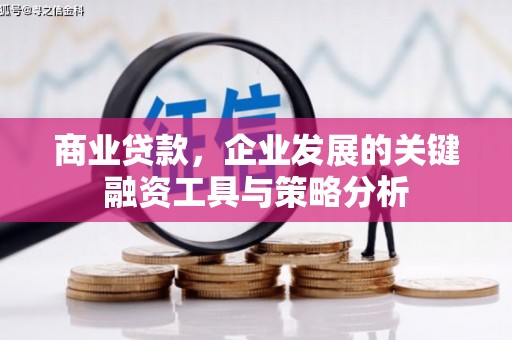 南涧商业贷款，企业发展的关键融资工具与策略分析