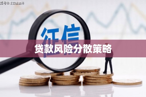 南涧贷款风险分散策略
