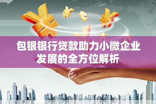 南涧包银银行贷款助力小微企业发展的全方位解析