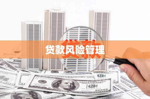 南涧贷款风险管理
