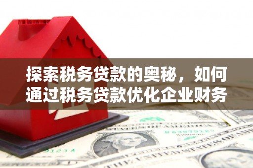 南涧探索税务贷款的奥秘，如何通过税务贷款优化企业财务