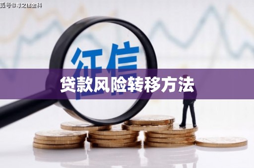 南涧贷款风险转移方法