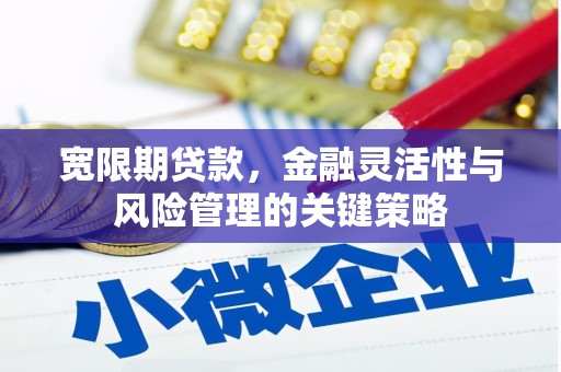 南涧宽限期贷款，金融灵活性与风险管理的关键策略