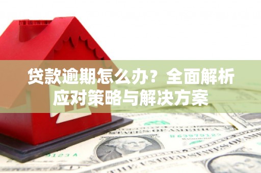 南涧贷款逾期怎么办？全面解析应对策略与解决方案