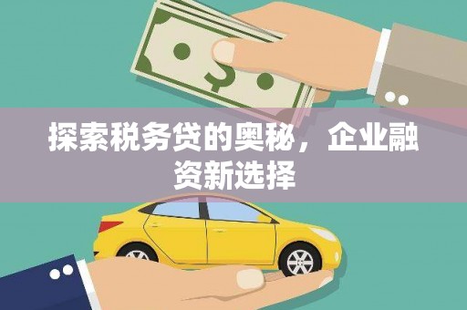 南涧探索税务贷的奥秘，企业融资新选择