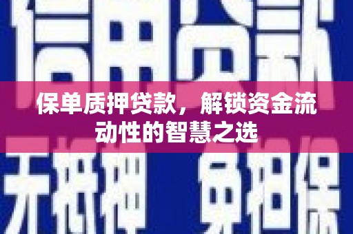 南涧保单质押贷款，解锁资金流动性的智慧之选
