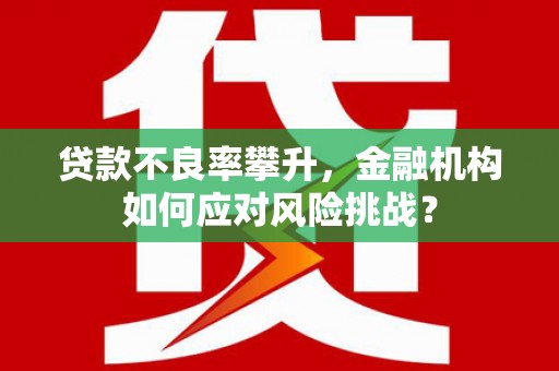 南涧贷款不良率攀升，金融机构如何应对风险挑战？
