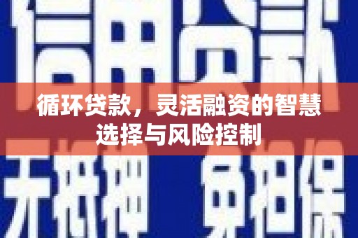 南涧循环贷款，灵活融资的智慧选择与风险控制