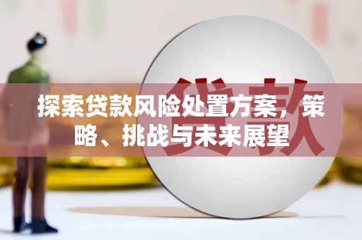 南涧探索贷款风险处置方案，策略、挑战与未来展望