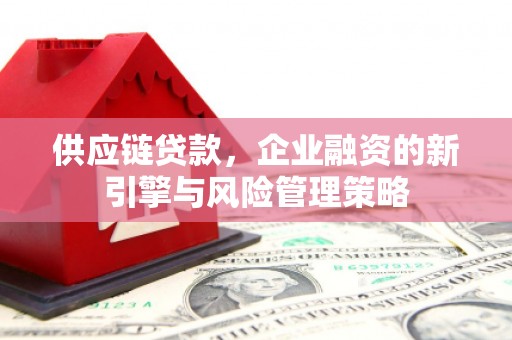 南涧供应链贷款，企业融资的新引擎与风险管理策略
