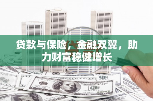 南涧贷款与保险，金融双翼，助力财富稳健增长