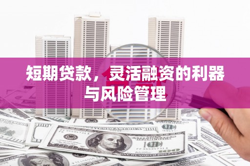 南涧短期贷款，灵活融资的利器与风险管理