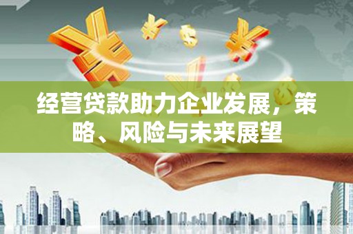 南涧经营贷款助力企业发展，策略、风险与未来展望