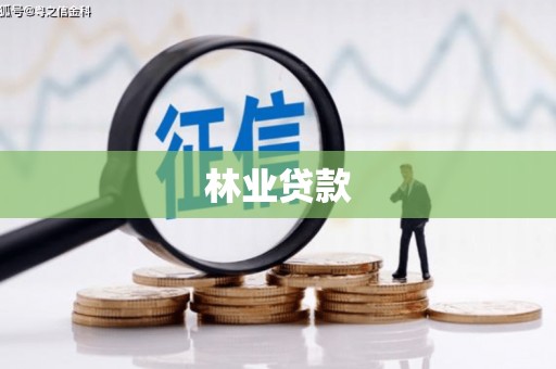 南涧林业贷款