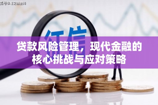 南涧贷款风险管理，现代金融的核心挑战与应对策略