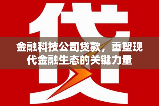 南涧金融科技公司贷款，重塑现代金融生态的关键力量