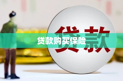 南涧贷款购买保险