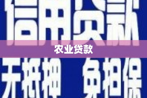 南涧农业贷款