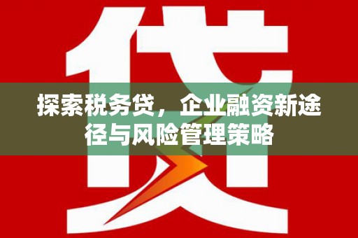 南涧探索税务贷，企业融资新途径与风险管理策略