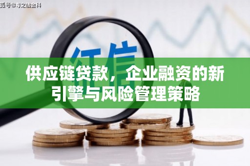 南涧供应链贷款，企业融资的新引擎与风险管理策略