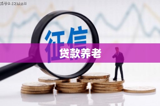 南涧贷款养老