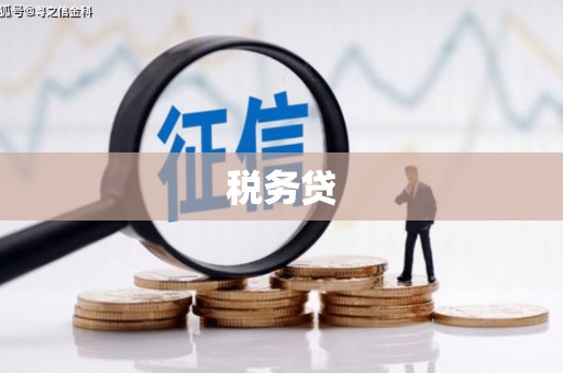 南涧税务贷