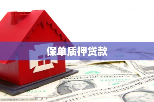 南涧保单质押贷款