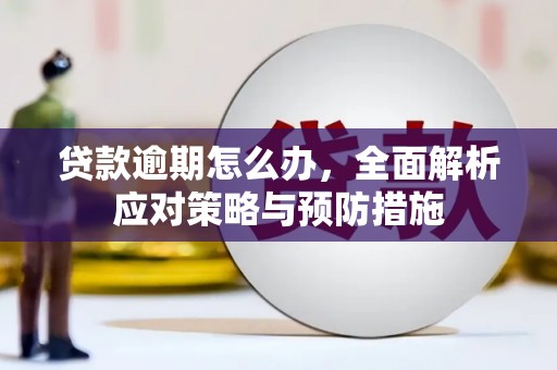 南涧贷款逾期怎么办，全面解析应对策略与预防措施
