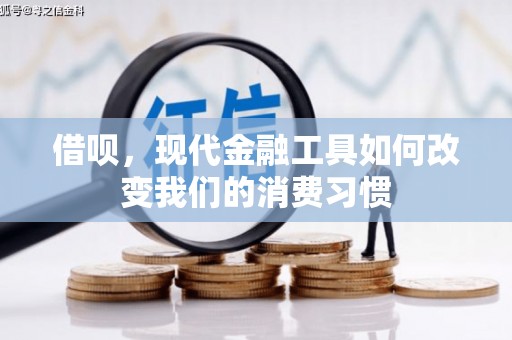 南涧借呗，现代金融工具如何改变我们的消费习惯