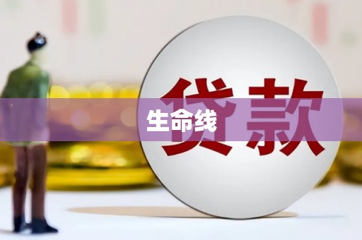 南涧生命线