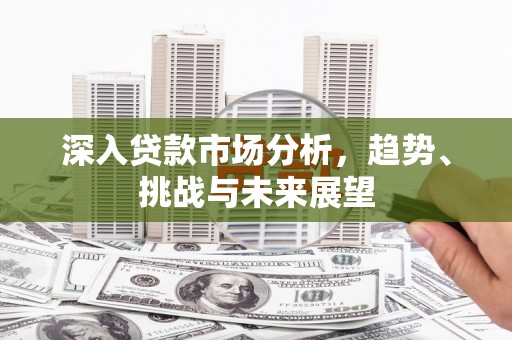 南涧深入贷款市场分析，趋势、挑战与未来展望