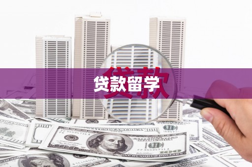 南涧贷款留学