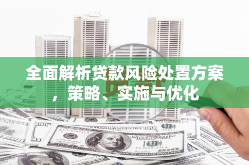 南涧全面解析贷款风险处置方案，策略、实施与优化