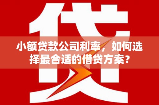 南涧小额贷款公司利率，如何选择最合适的借贷方案？