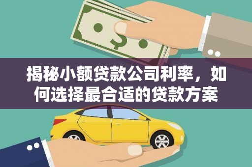南涧揭秘小额贷款公司利率，如何选择最合适的贷款方案