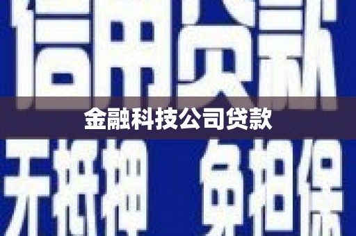 南涧金融科技公司贷款