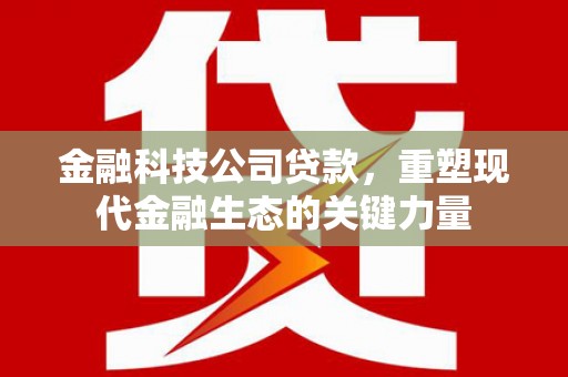 南涧金融科技公司贷款，重塑现代金融生态的关键力量