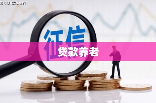 南涧贷款养老