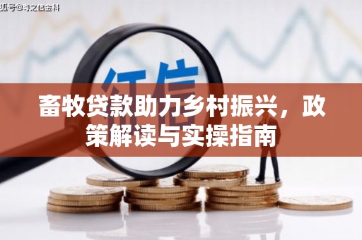 南涧畜牧贷款助力乡村振兴，政策解读与实操指南