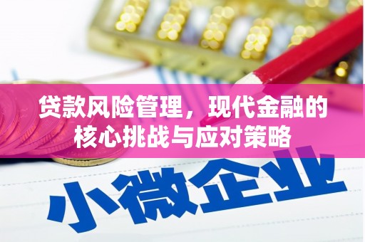 南涧贷款风险管理，现代金融的核心挑战与应对策略