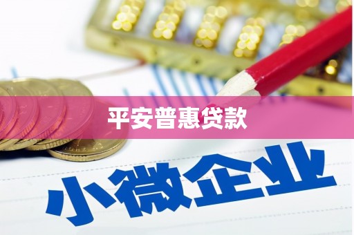 南涧平安普惠贷款