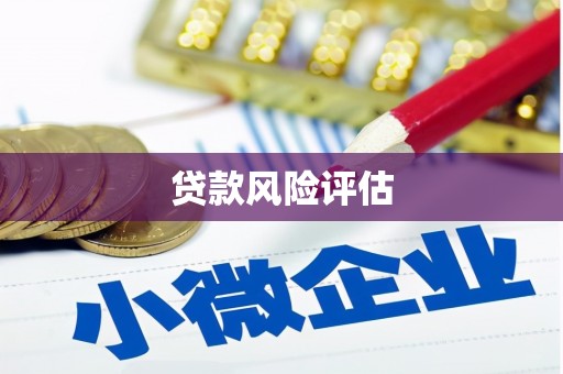 南涧贷款风险评估