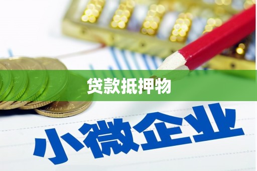 南涧贷款抵押物