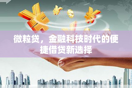 南涧微粒贷，金融科技时代的便捷借贷新选择