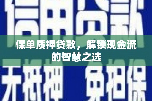 南涧保单质押贷款，解锁现金流的智慧之选