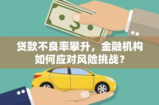 南涧贷款不良率攀升，金融机构如何应对风险挑战？