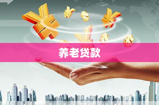 南涧养老贷款