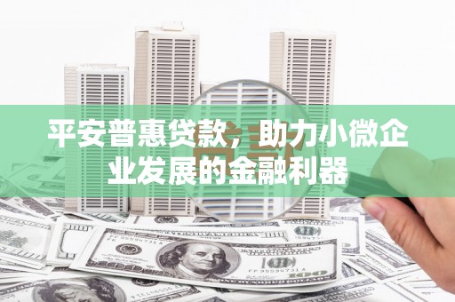 南涧平安普惠贷款，助力小微企业发展的金融利器