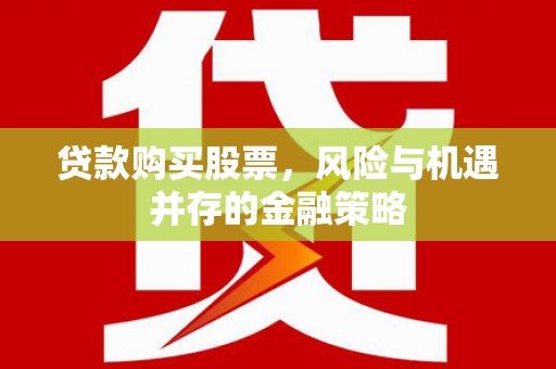 南涧贷款购买股票，风险与机遇并存的金融策略